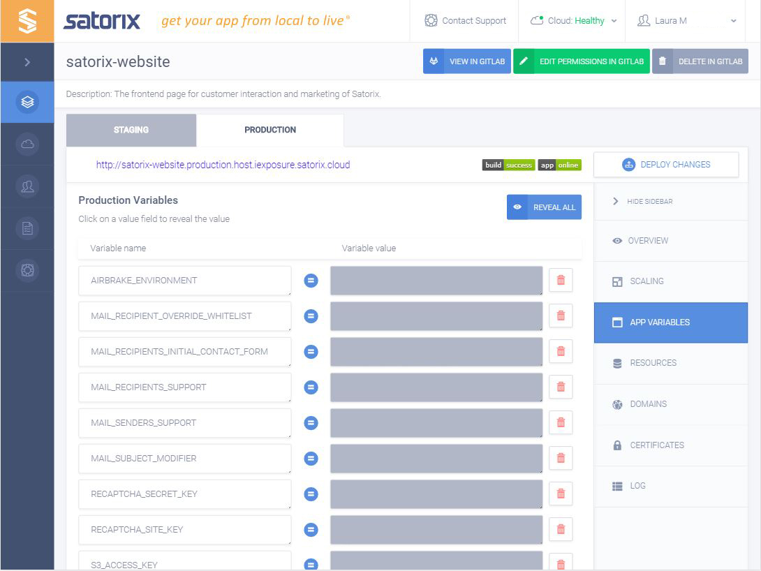 Dashboard Application Environment Variables Scaling Page